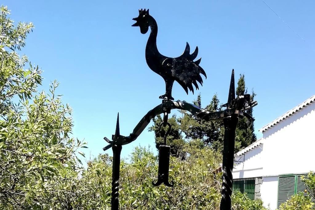 Casa La Veguetilla En San Mateo Vega de San Mateo Ngoại thất bức ảnh